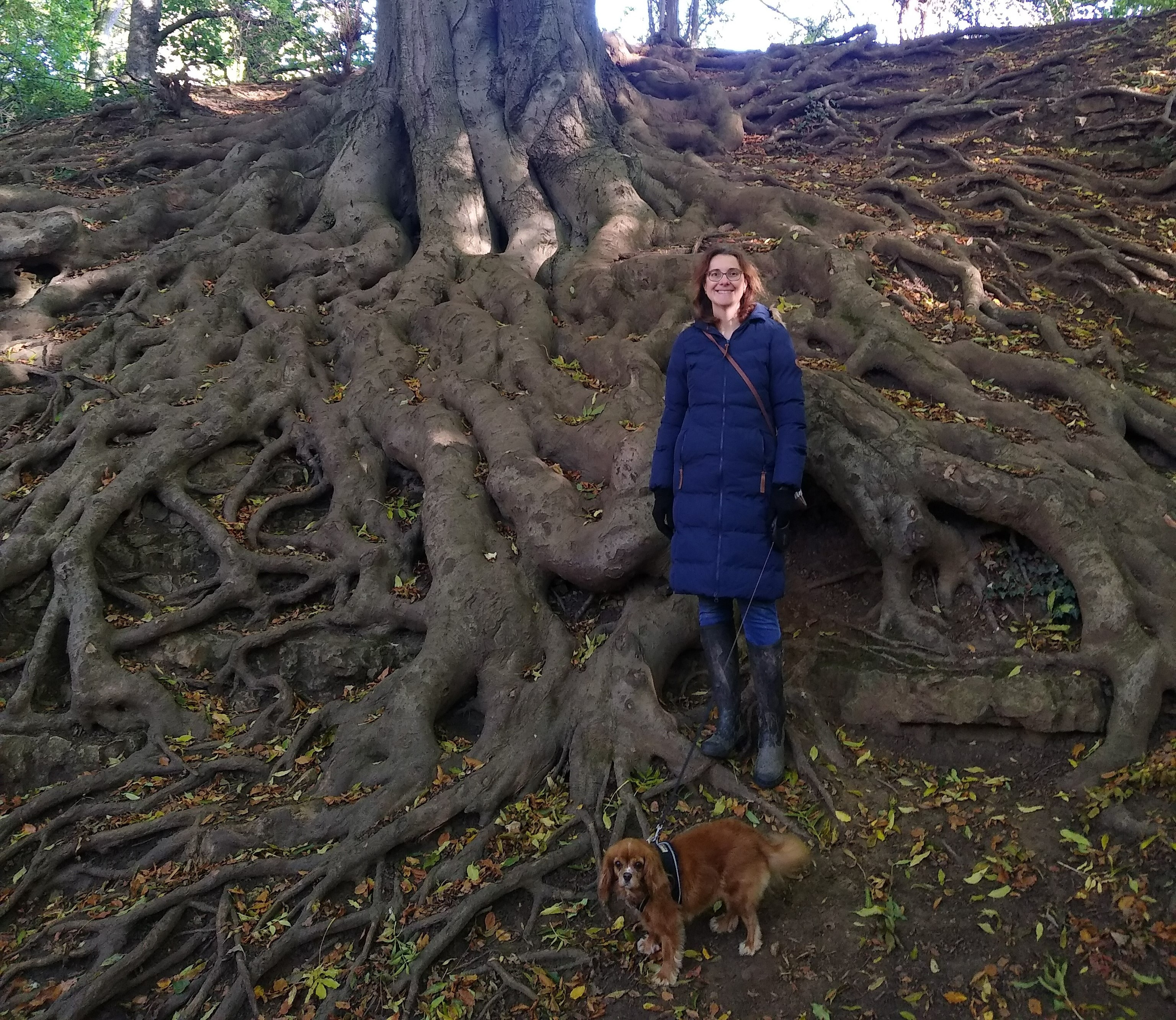 Woman and a dog standing by a bank of exposed tree roots with part of the tree trunk also visible.